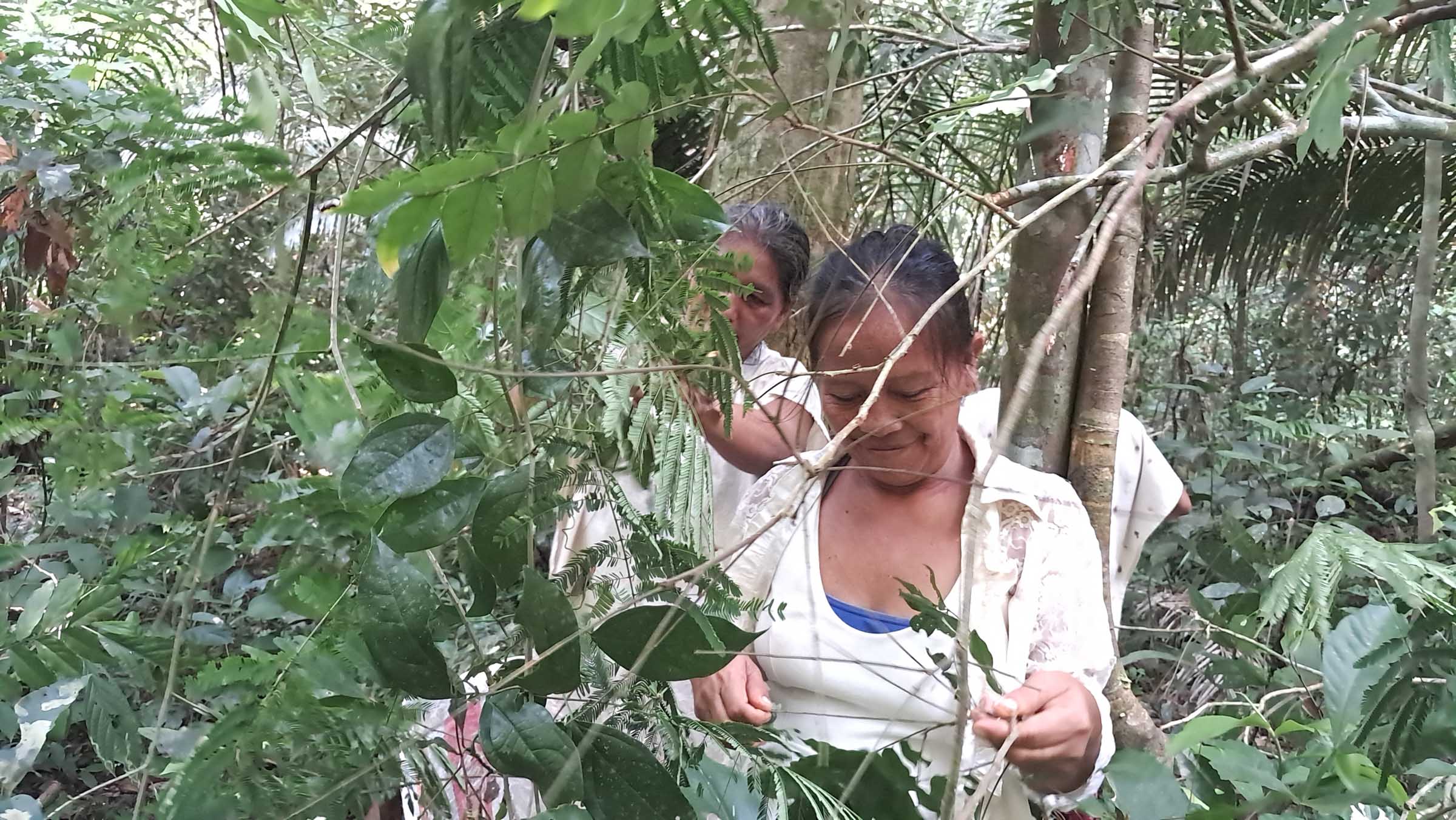 GT20240416ESEEJASONENE_(35)_BAJA