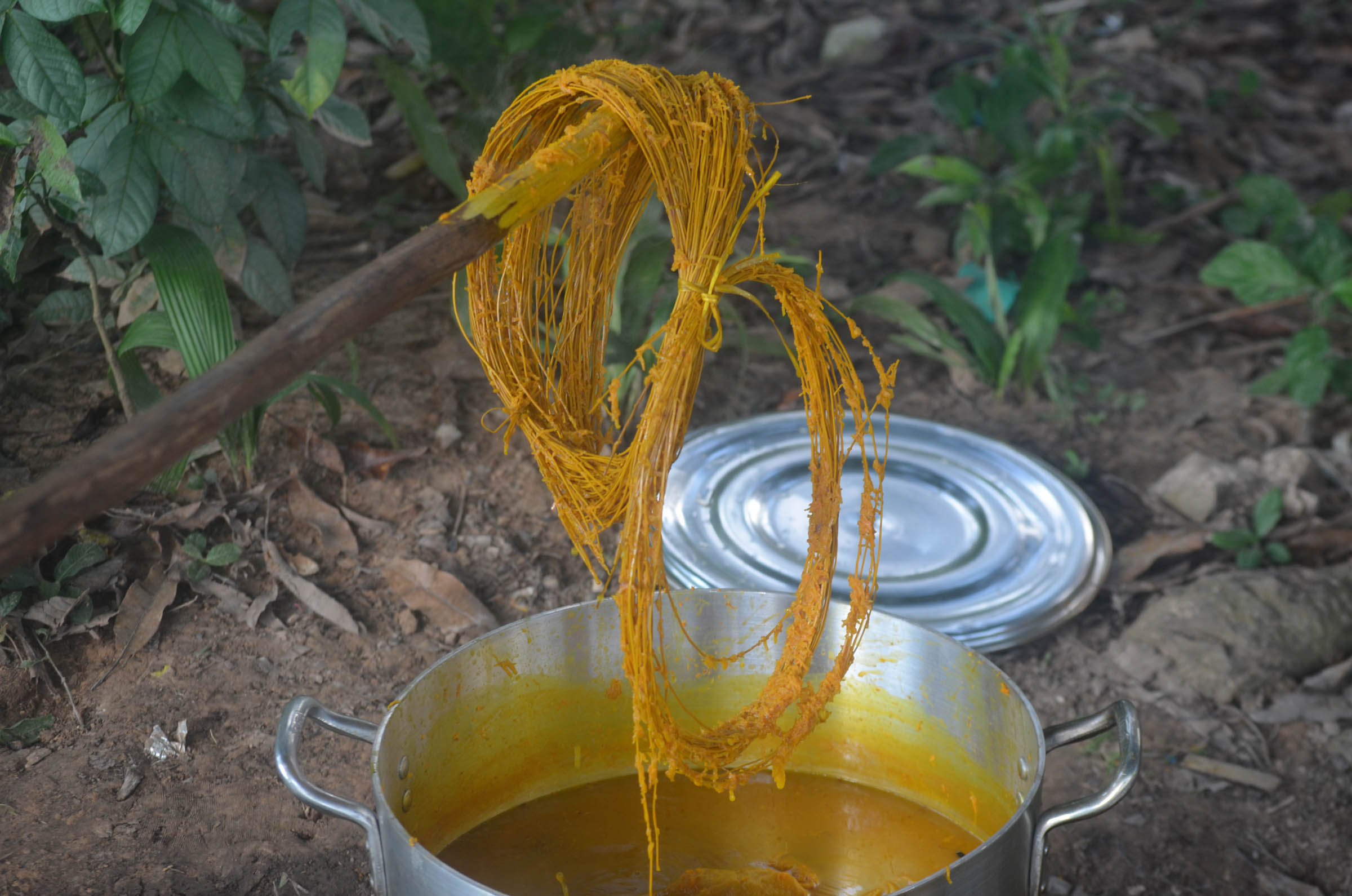 GT20240416ESEEJASONENE_(43)_BAJA