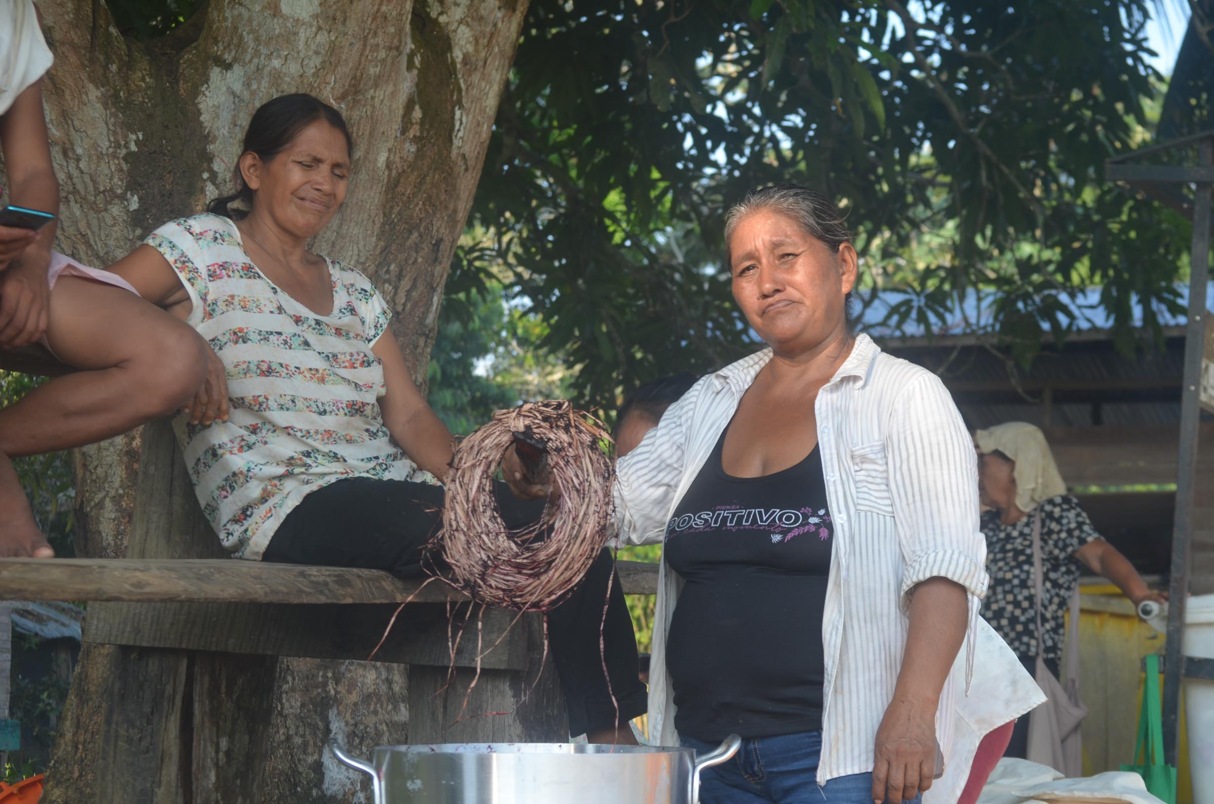 GT20240416ESEEJASONENE__BAJA-2