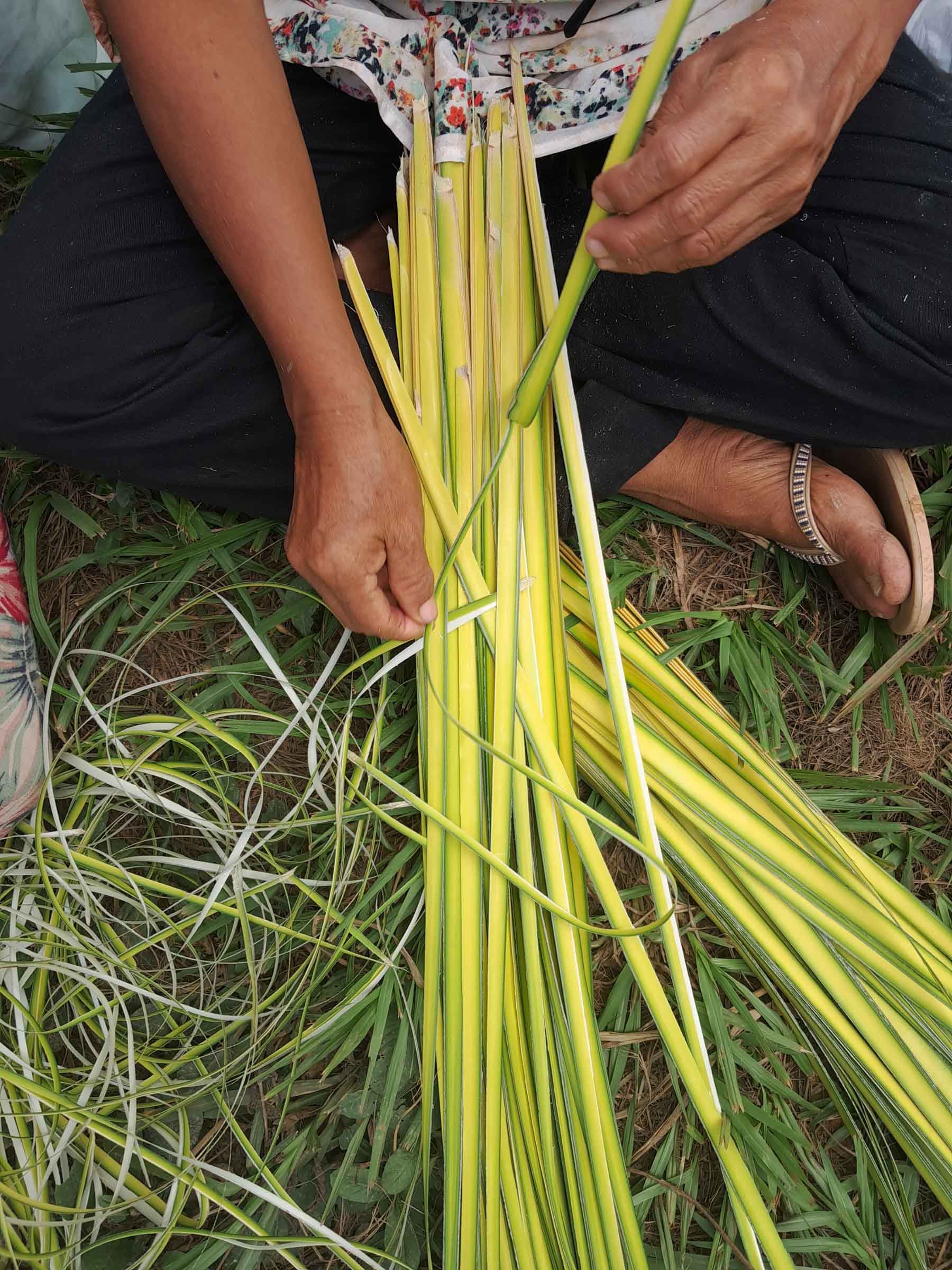 GT20240416ESEEJASONENE__BAJA