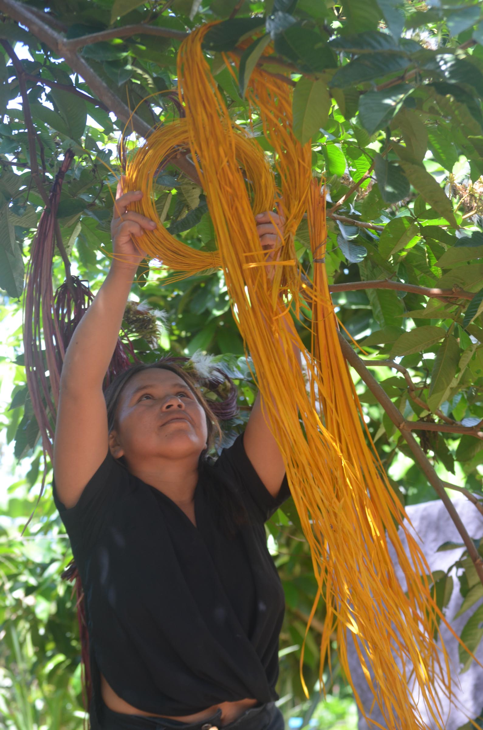 GT20240418ESEEJASONENE_(1)_BAJA