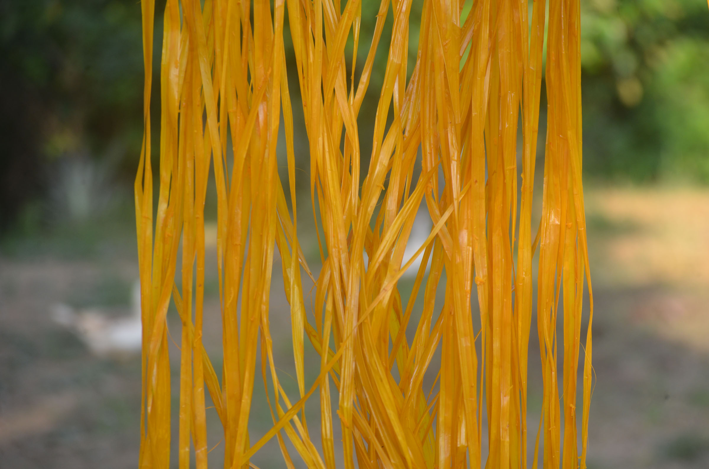 GT20240418ESEEJASONENE_(21)_BAJA