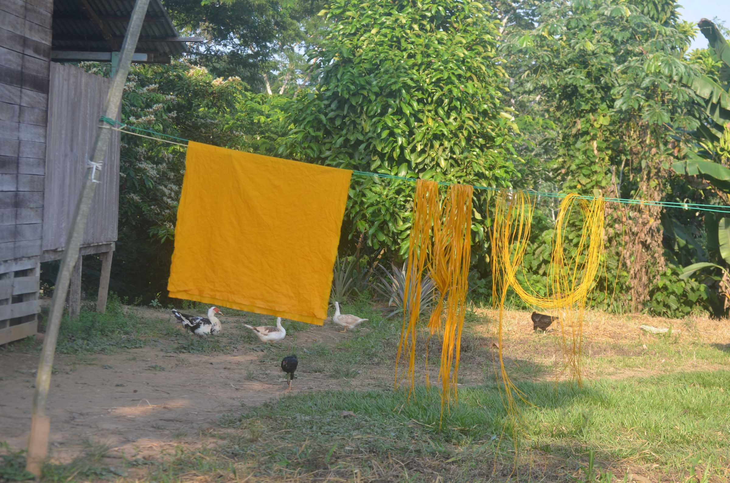 GT20240418ESEEJASONENE_(22)_BAJA