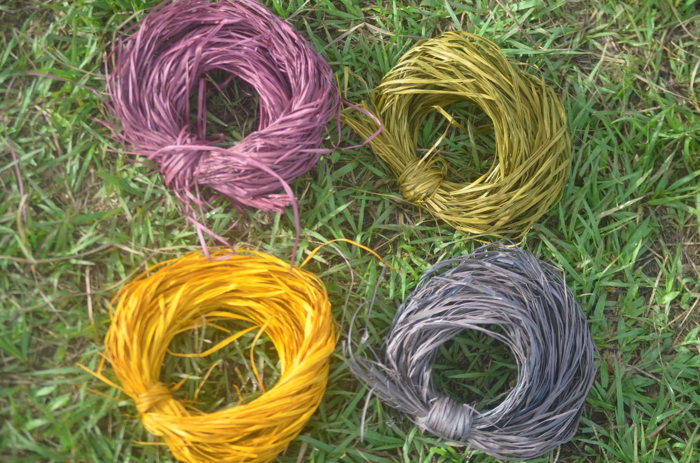 GT20240419ESEEJASONENE_(17)_BAJA