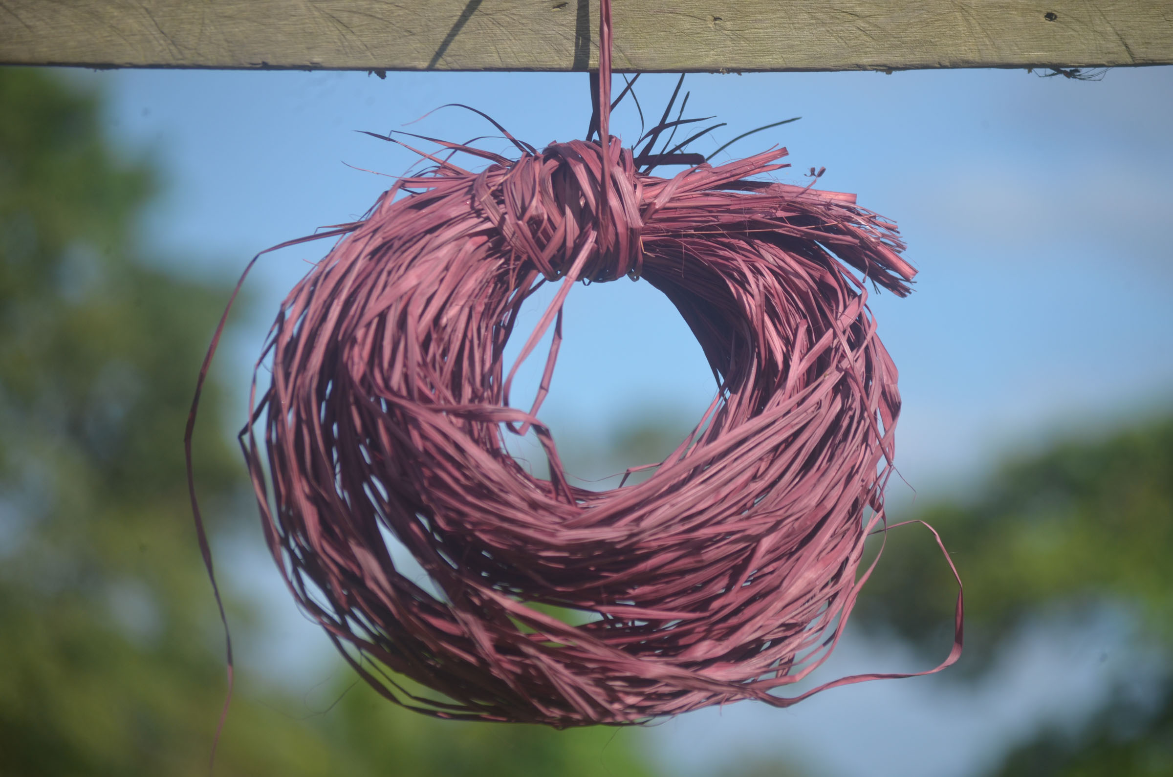 GT20240419ESEEJASONENE_(26)_BAJA