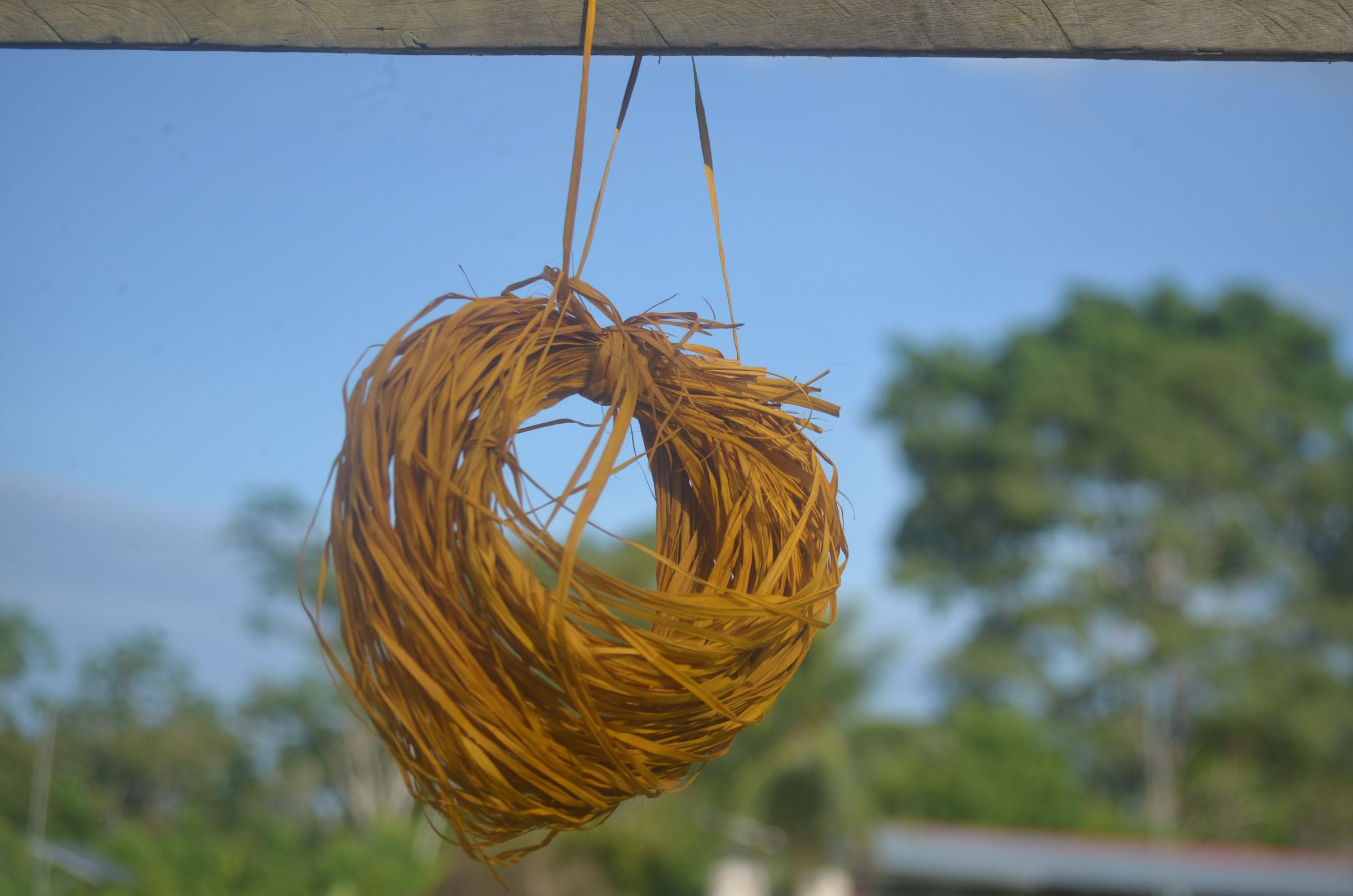 GT20240419ESEEJASONENE_(3)_BAJA