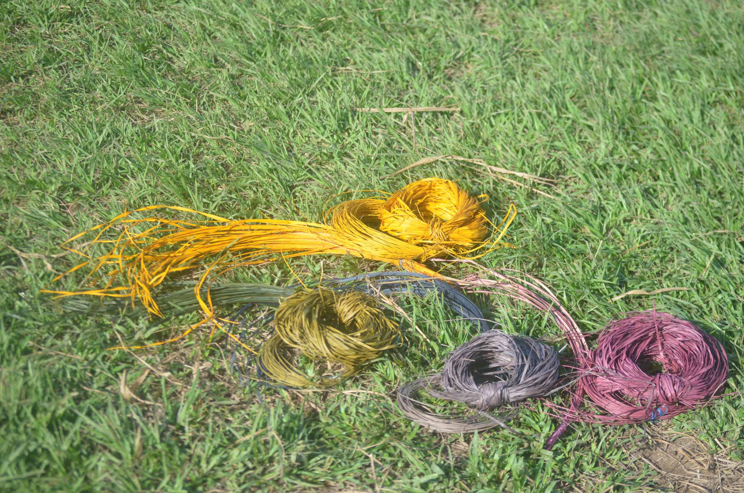 GT20240419ESEEJASONENE__BAJA