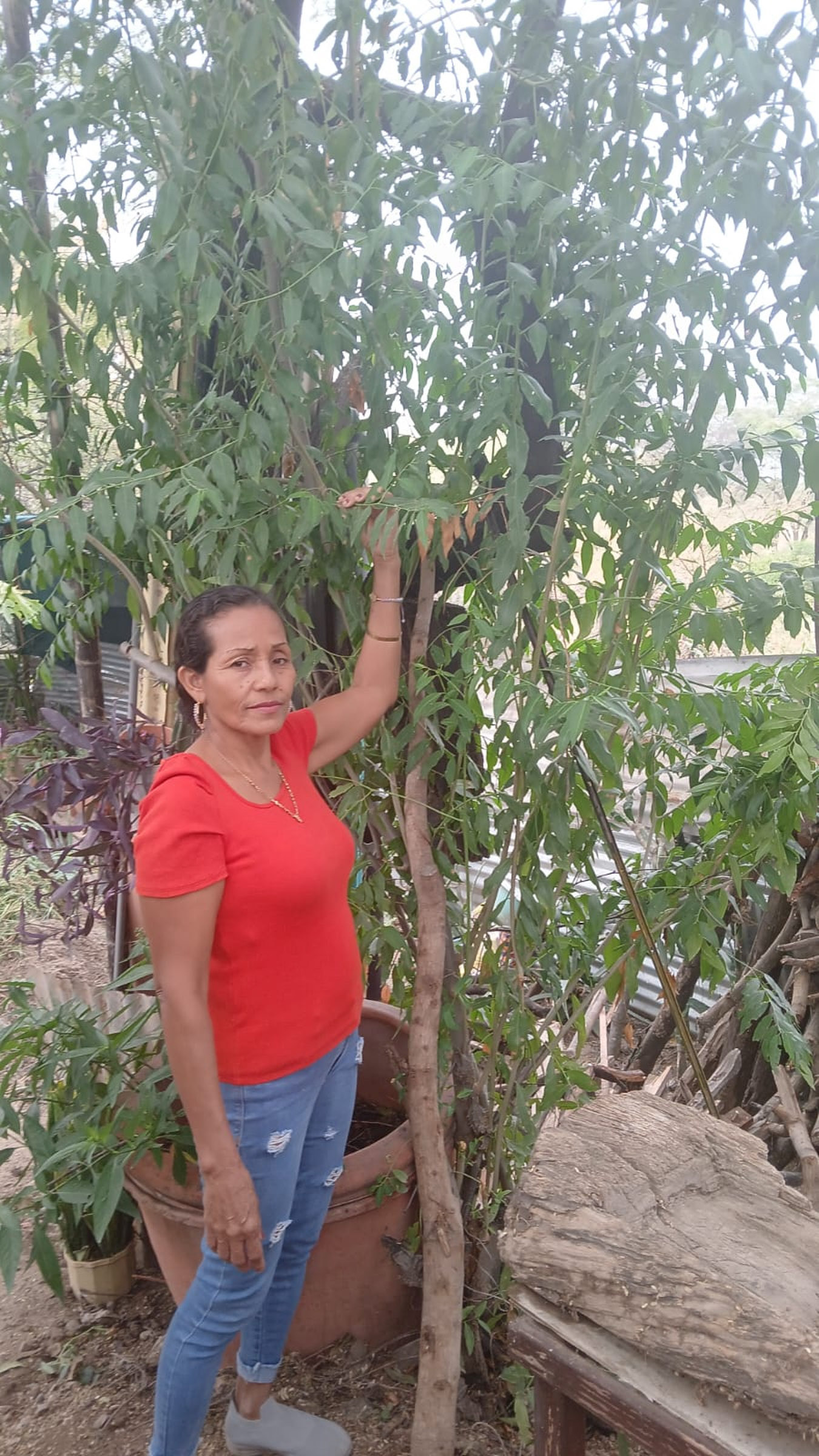 Marilú González_BAJA